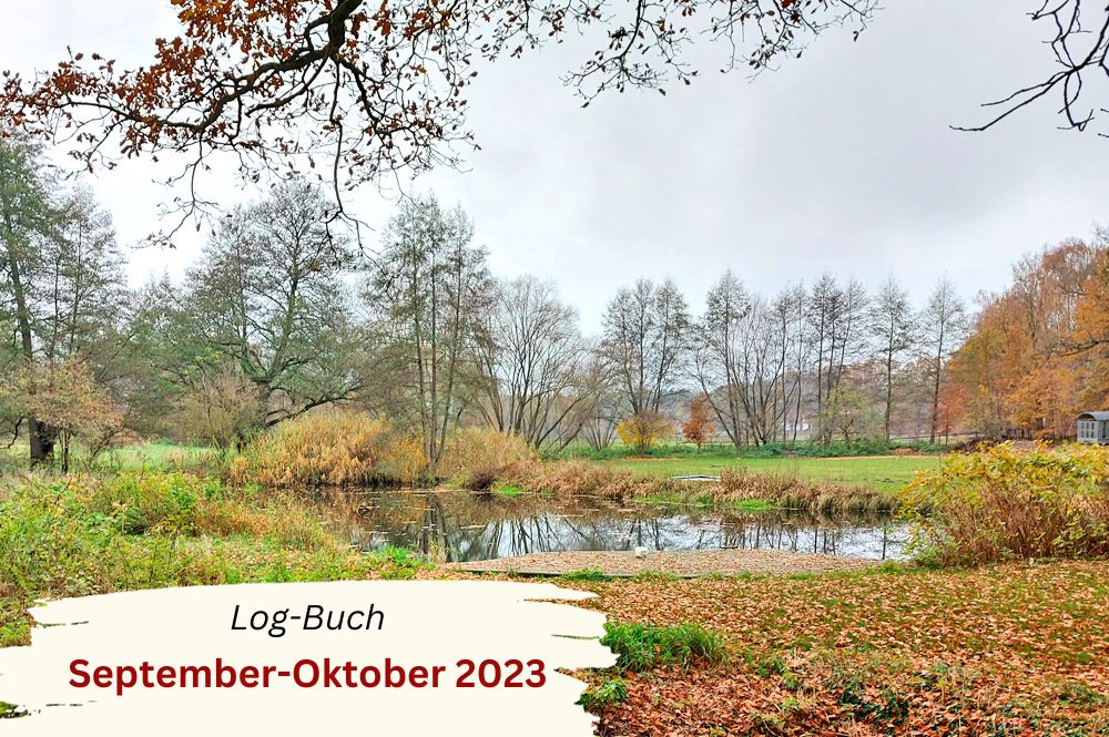 Enjoy-Aquarell - Rückblick September-Oktober 2023