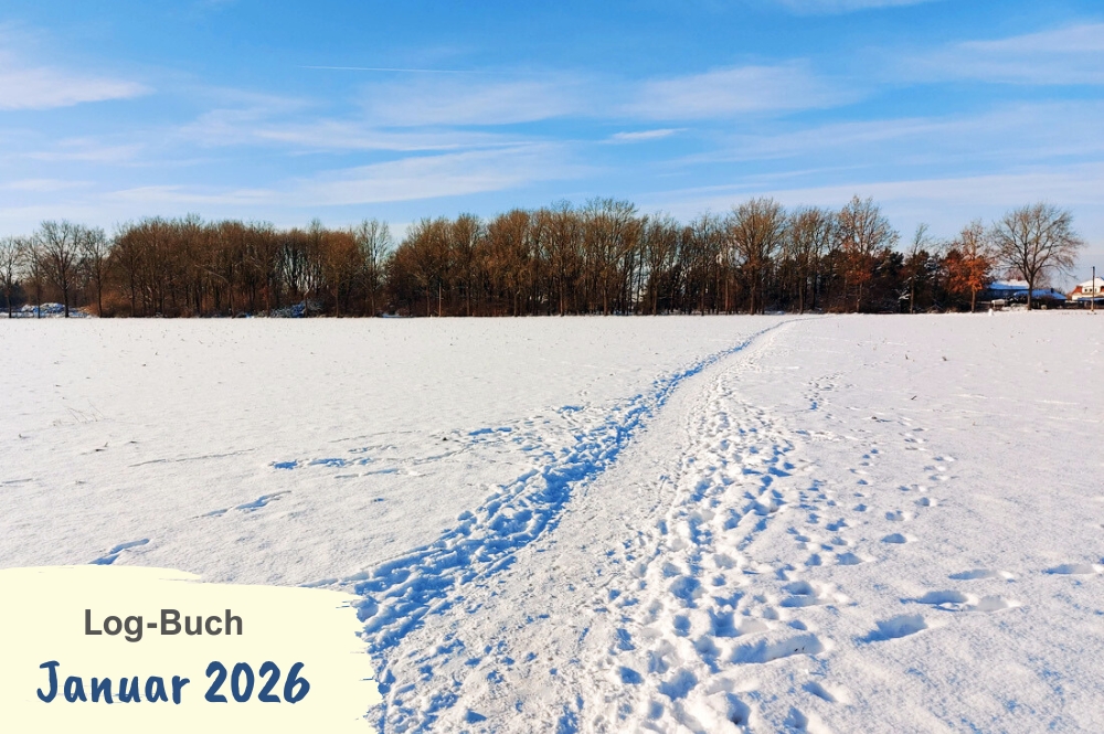 Schneefeld mit Trampelpfad, im Hintergrund kahle Bäume darüber blauer Himmel