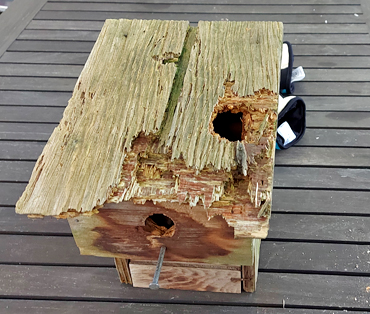 Vogelhaus aus Holz mit Loch im Dach