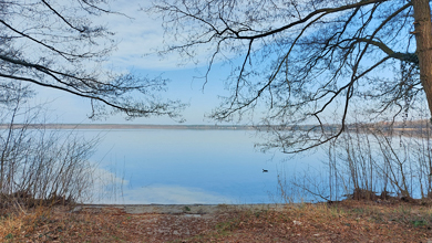 Blick durch Baumzweige auf einen See unter blauem Himmel