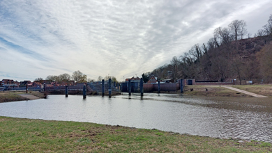 Blick auf Elbe-Seitenarm und Weinberg in Hitzacker
