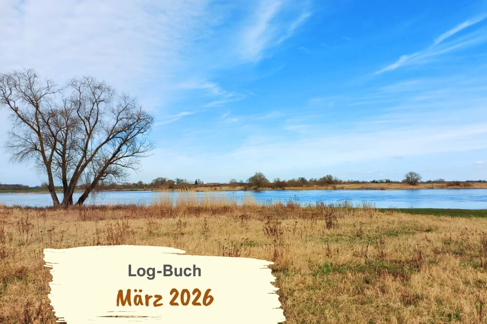 Blick auf Elbe-Landschaft mit kahlem Baum, gelb-grünem Gras, blauem Himmel mit weißen Federwolken