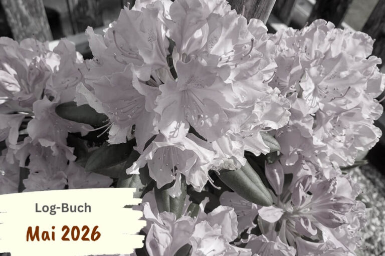 Schwarz-weiß-Foto von Rhododendron-Blüten