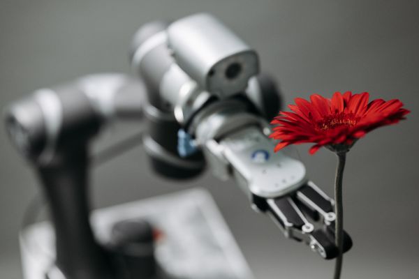 Ein Roboter, der eine rote Blume überreicht