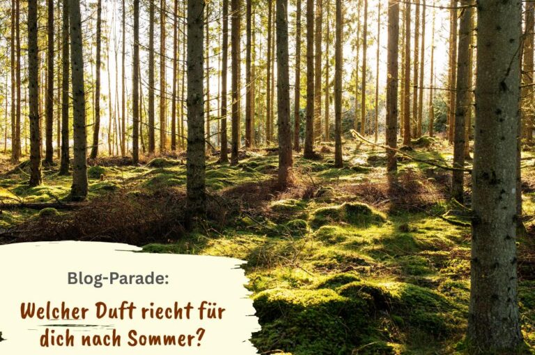 von Sonnenlicht gefluteter Kiefernwald